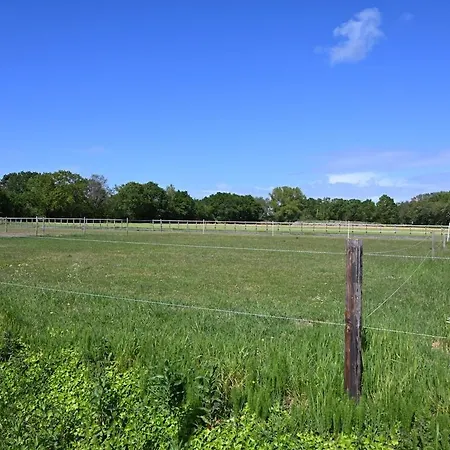 シャレー Gezellig Vlak Bij Zee En Duinen *